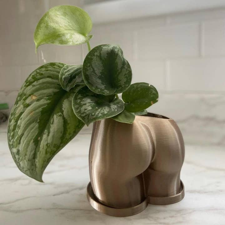 Peachy Pilea - Wholesale Plant Pot - Original Peachy Planter | More Sizes + Colors Available