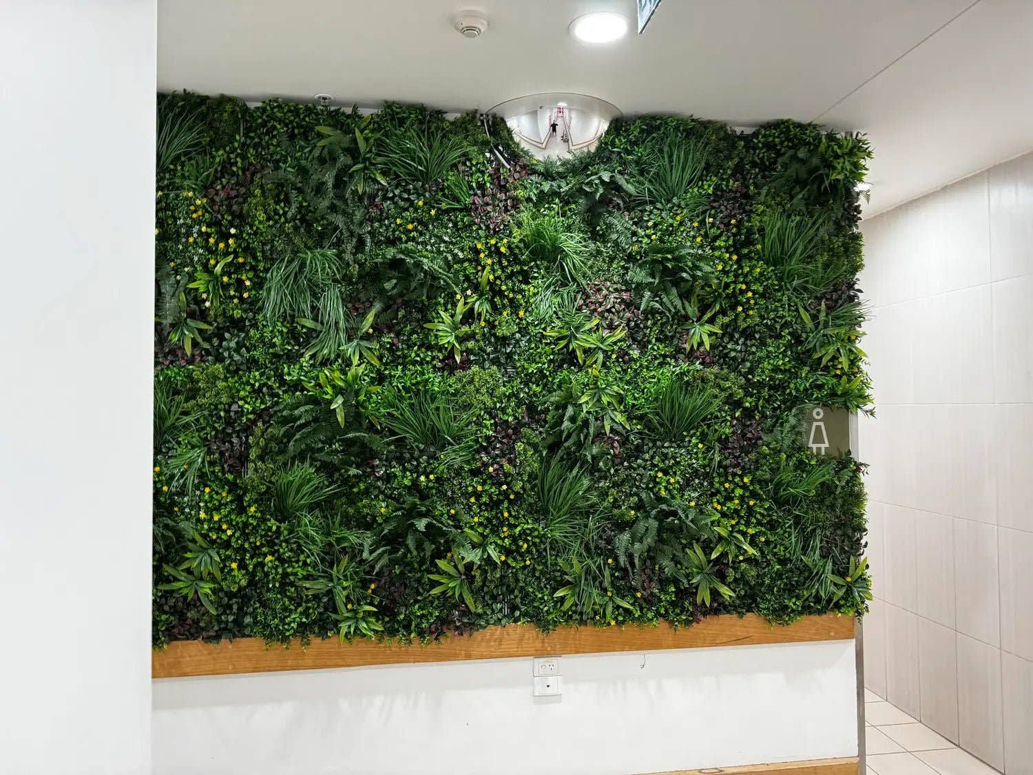 Designer Plants - Wholesale Artificial Plant - Luxury Country Fern Artificial Vertical Garden 40" x 40" 11SQ FT Commercial Grade UV Resistant23