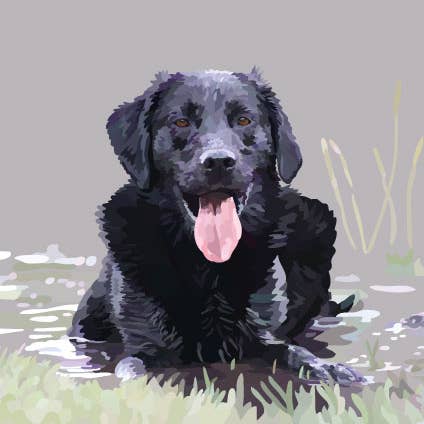 Periodic Society - Vendita all'ingrosso Biglietti di auguri generici - 300C Black Lab in Puddle/Periodic Society - Biglietto di auguri