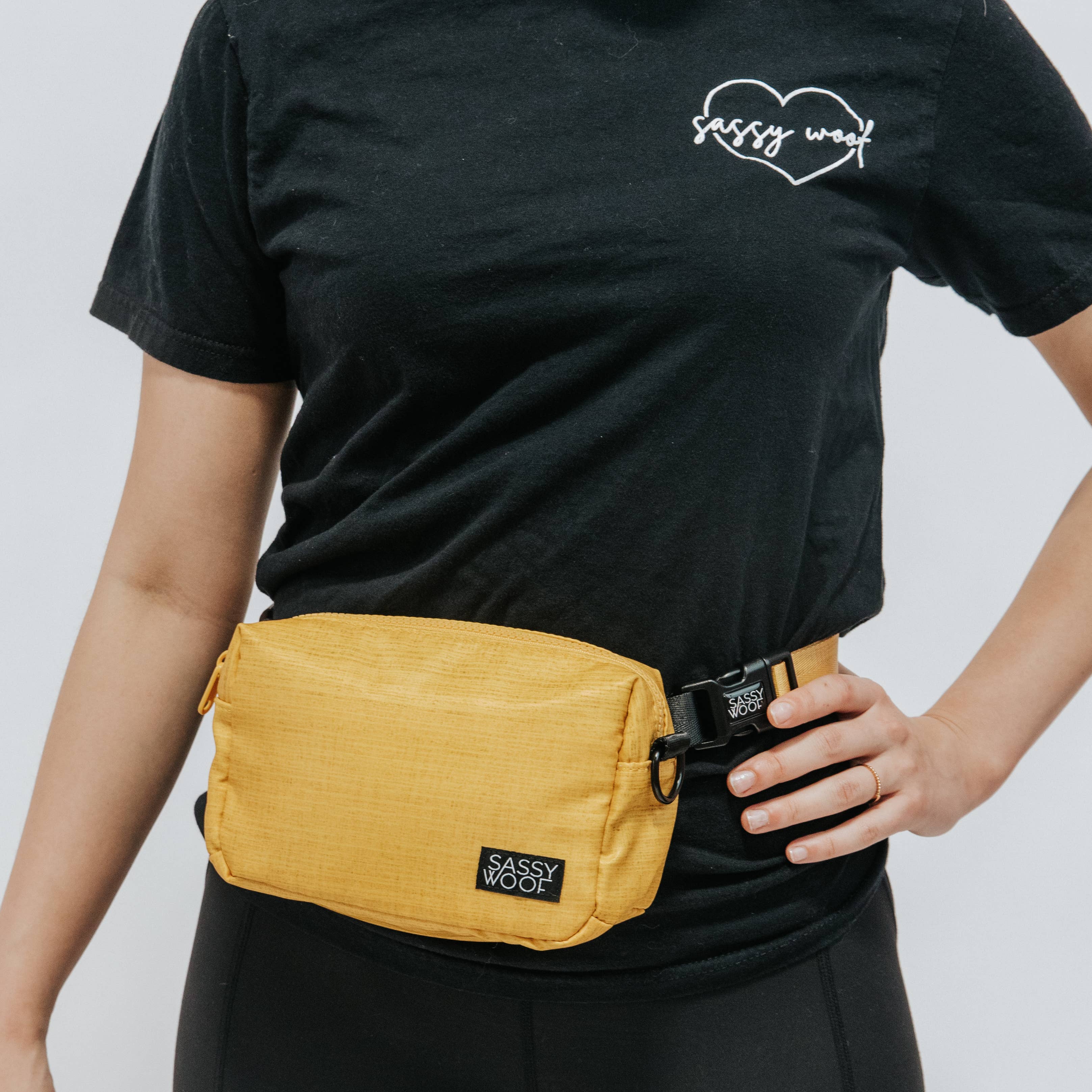 SASSY WOOF - Wholesale Pet Treat Bag - Dog - Sunflower Fields Woof Pack (Bag Only)1