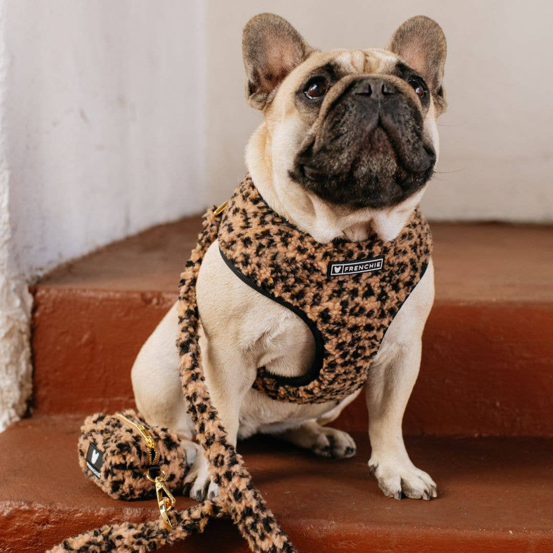Frenchie – Arnês – Cão por atacado – Arnês Reversível Frenchie Duo - Teddy Leopard9