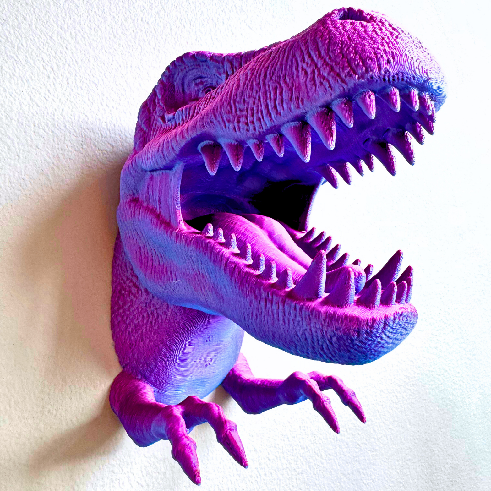 Dragon Fidgets – Großhandel Wanddeko - Kind & Baby – T-Rex Zubehörhalter zur Wandmontage16