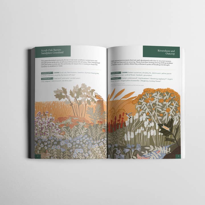 Wild Seed Project - Wholesale Nature & Outdoors - Planting for Climate Resilience in Northeast Landscapes4