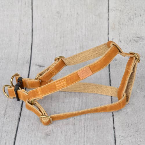 3/4 Harnais Ciré Doré pour la vente par Finnegan’s Standard Goods