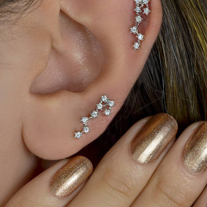 StockJWL - Wholesale Stud/Post Earrings - 12 Zodiac Earrings, Constellation Stud Earring Stud Piercing Tragus Helix Lobe and Cartilage Silver And Gold48