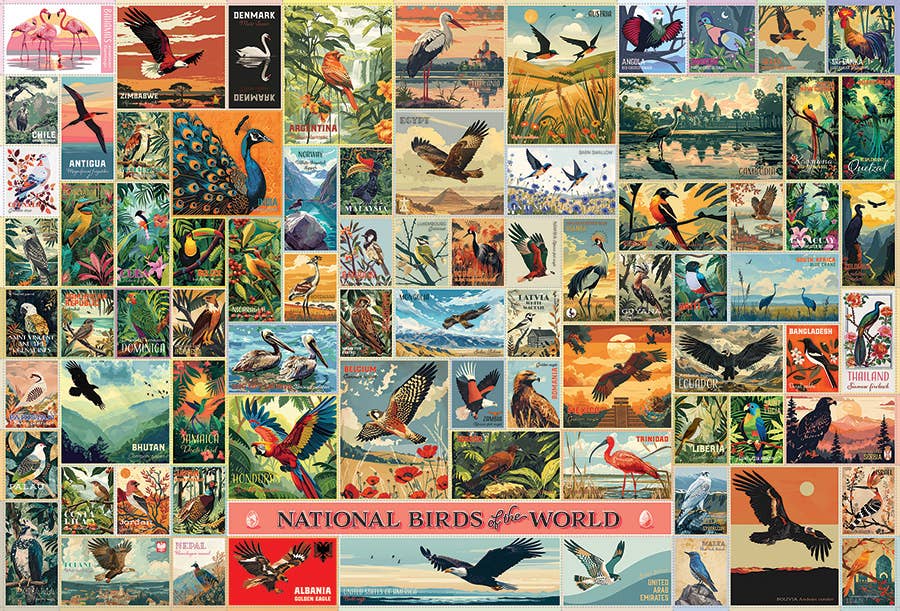 Outset Games and Cobble Hill Puzzles - Wholesale Puzzle - Adult - National Birds of the World 2000pc puzzle1