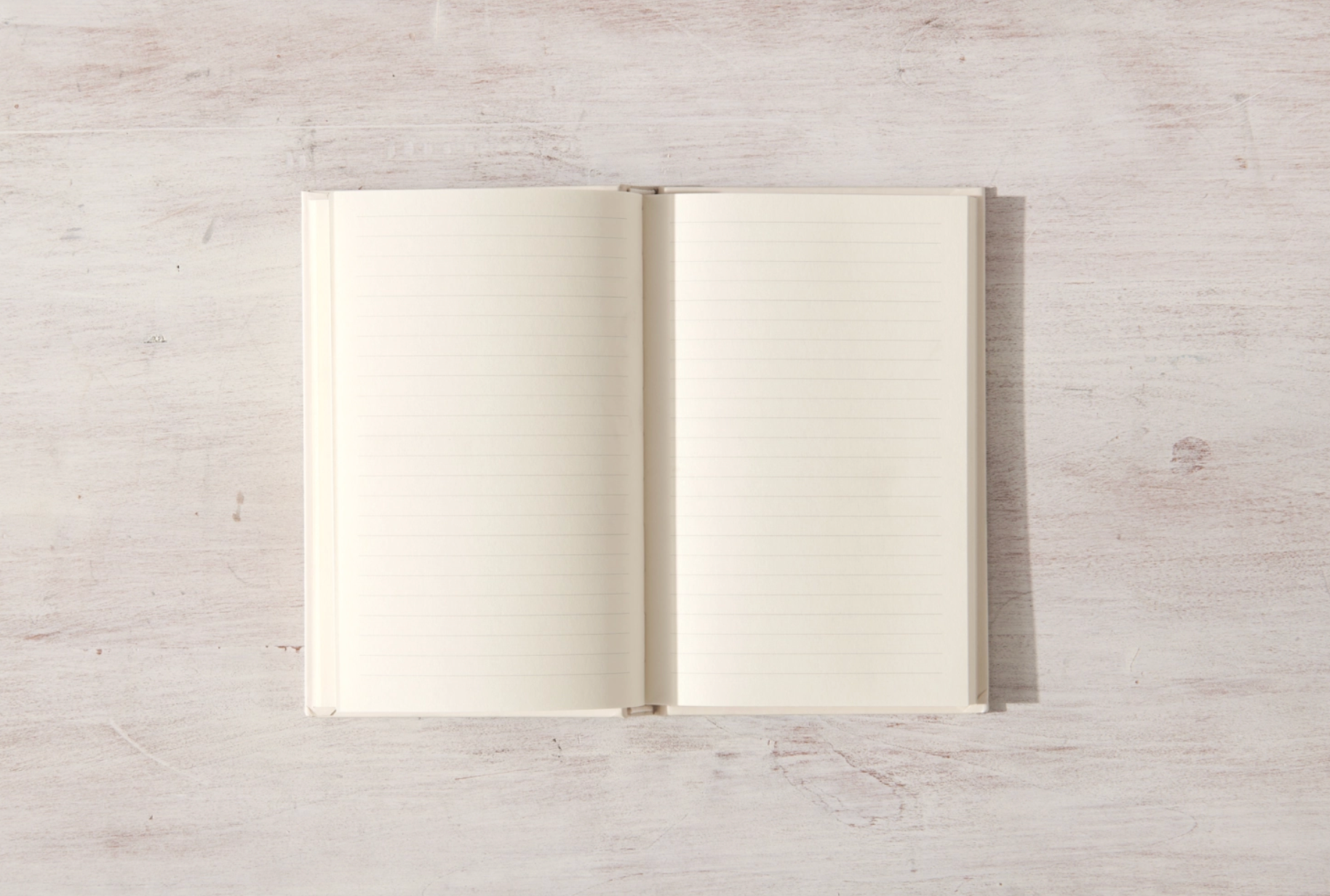 Thought Catalog - Wholesale Journal/Diary - Write In These Pages Journal3