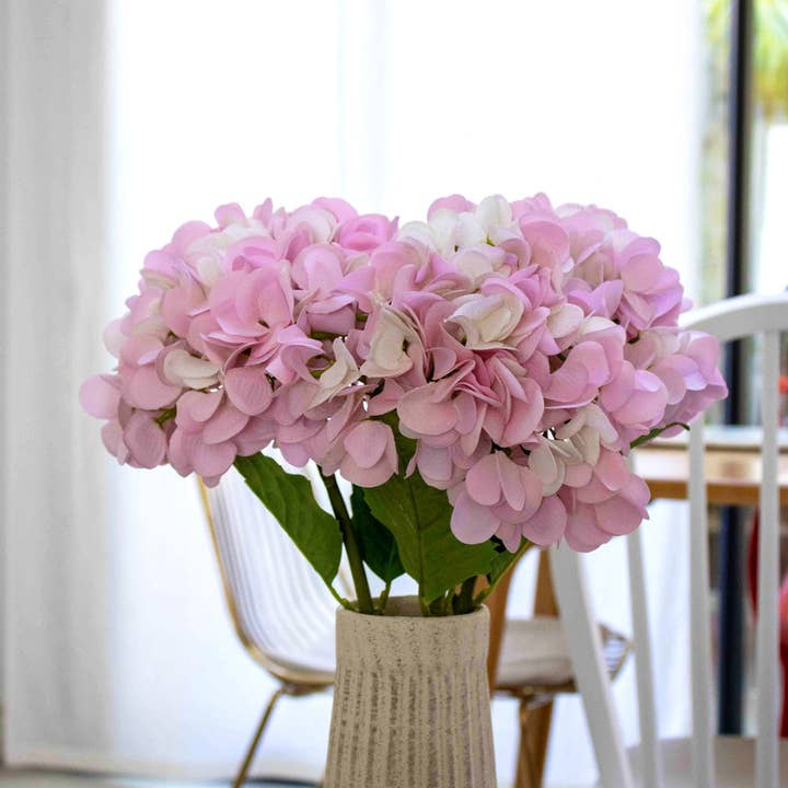 Light pink hydrangea for wholesale by Flowrette