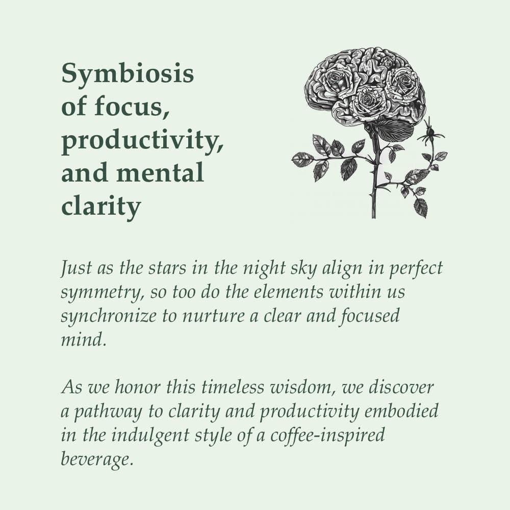 SOULEL - Wholesale Oral Supplement/Vitamin - Organic Dirt - Botanical Coffee Alternative for Focus2