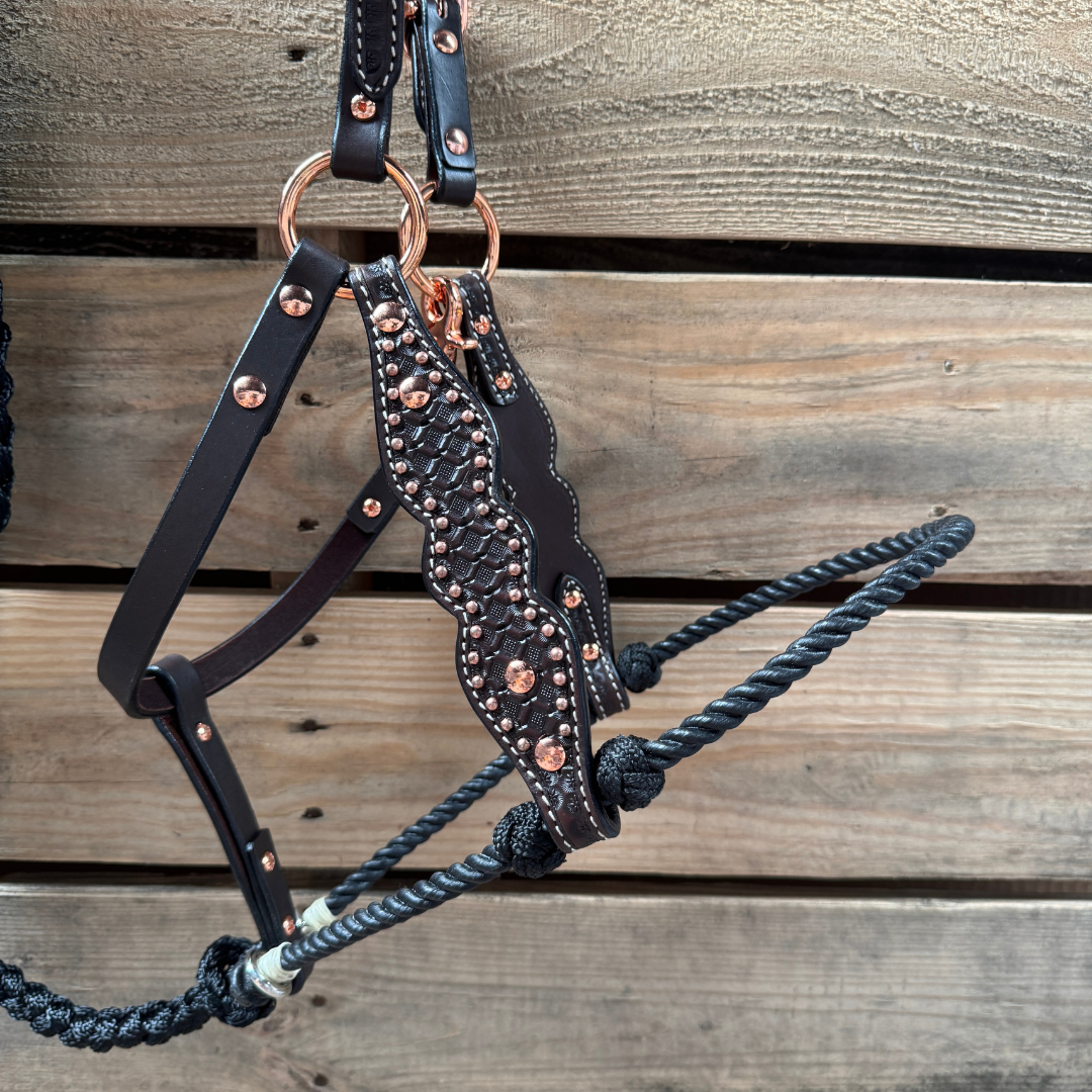 Rodeo Drive - Wholesale Horseback Riding Gear - Black Honeycomb Tooled Lariat & Leather Combo Halter1