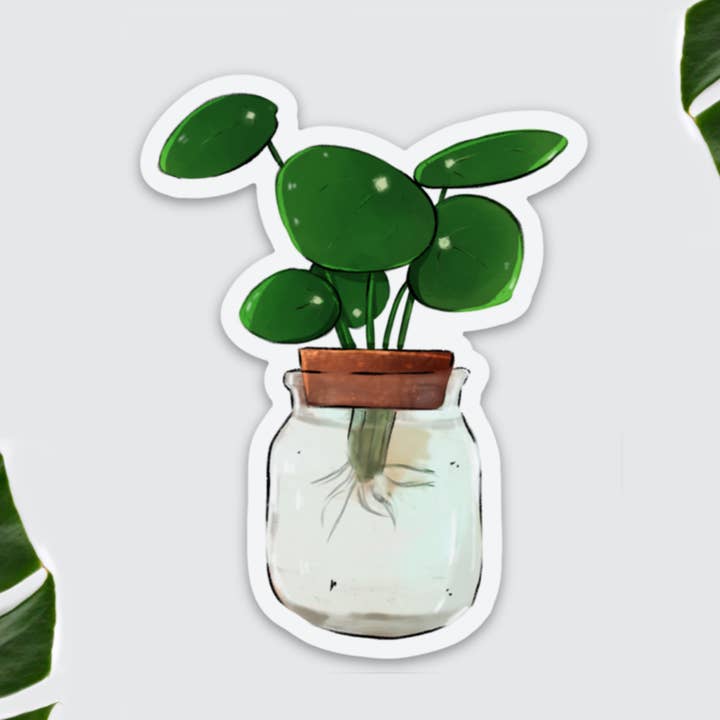 Magnet - Pilea offshoot in glass, houseplant, offshoot for wholesale by plantyintroverts