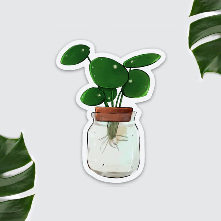 Magnet - Pilea offshoot in glass, houseplant, offshoot for wholesale by plantyintroverts