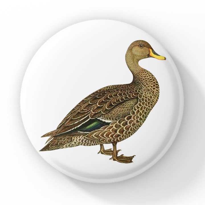 Bouton épinglette en forme de canard colvert, porte-clés en forme de canard colvert, aimant en forme de canard pour la vente par NatureCuts