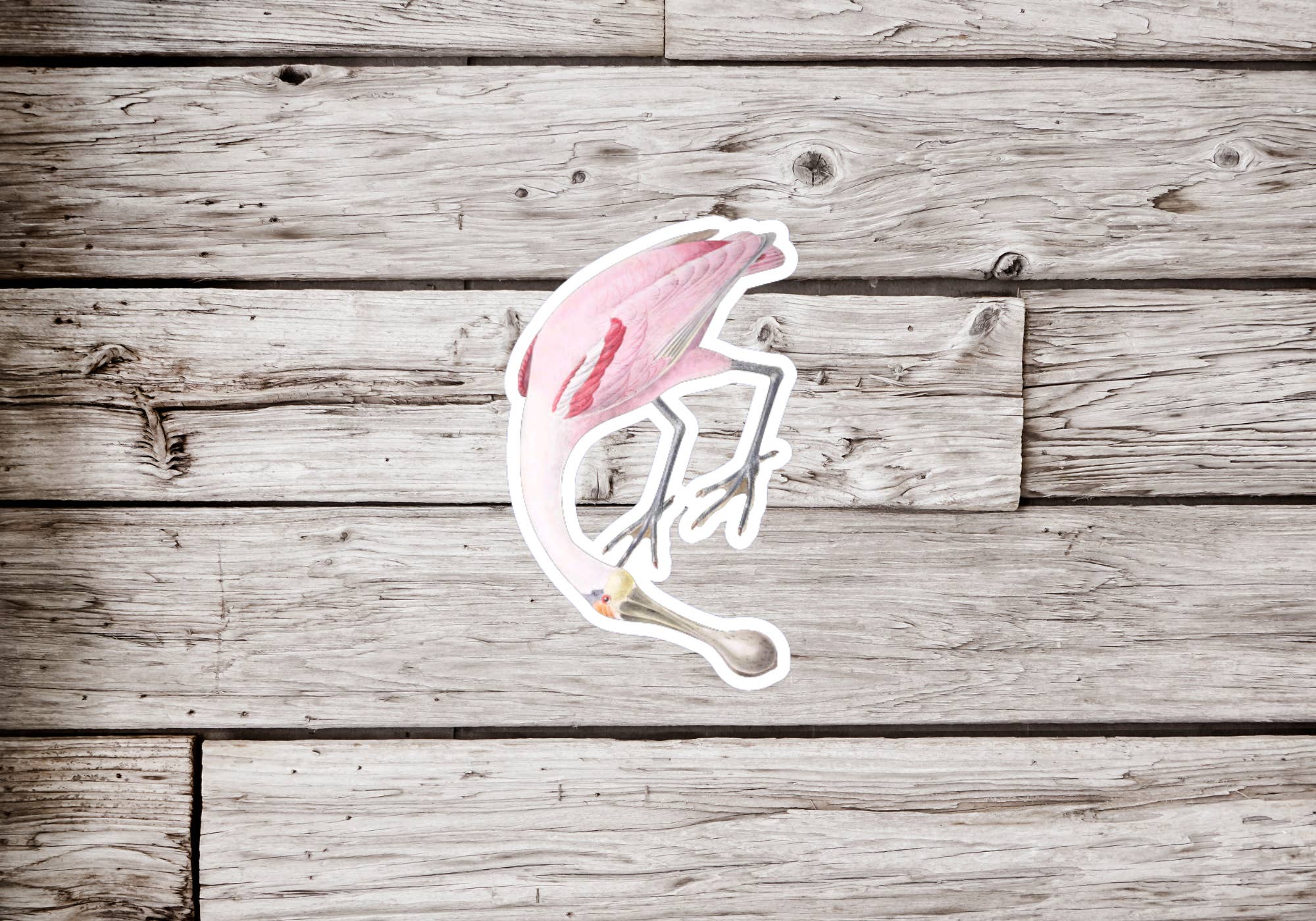 NatureCuts - Wholesale Sticker - Spoonbill Sticker, Bird Sticker, Ornithology Sticker