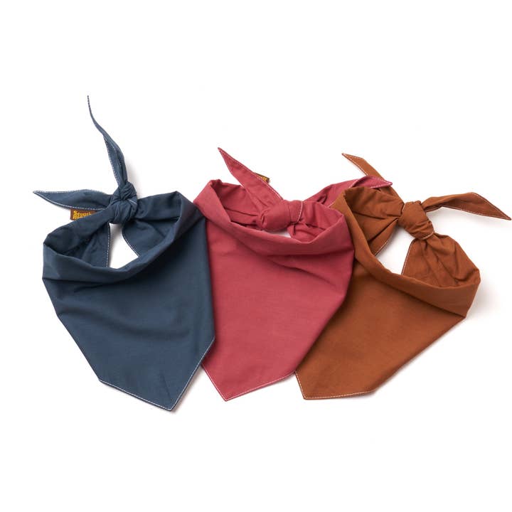 The Paws - Wholesale Pet Bandana - Dog - Photography - Studio Product Pictures4