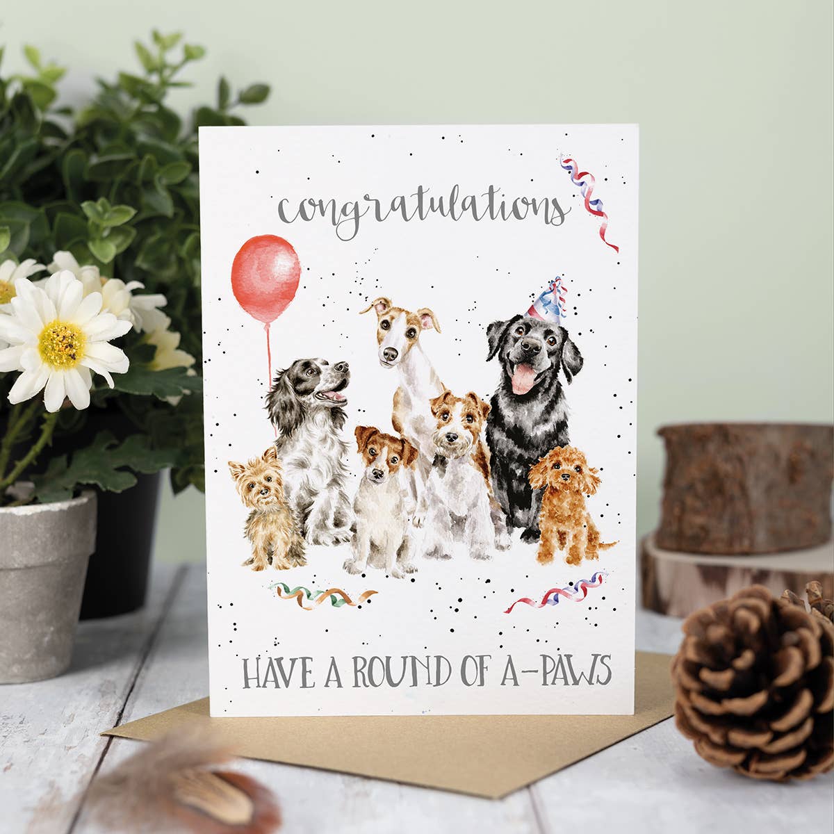 Wrendale Designs - Wholesale Birthday Card - Round of a-paws1