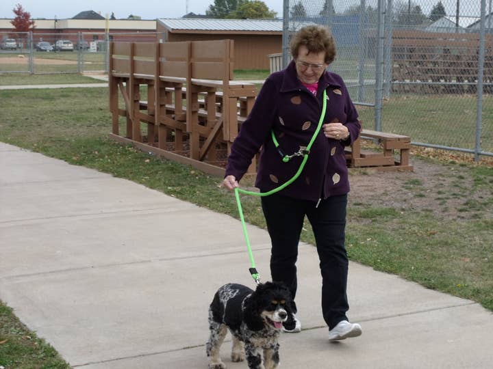 SOFT LINES - Vente Laisse – chien - Laisses pour chiens mains libres pour le jogging et l'entraînement5
