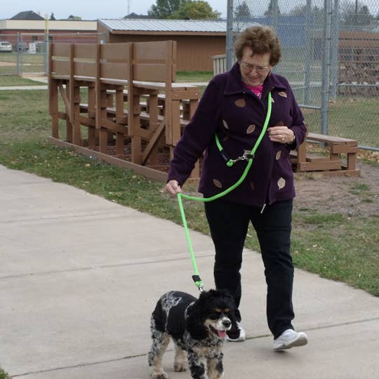 SOFT LINES - Vente Laisse – chien - Laisses pour chiens mains libres pour le jogging et l'entraînement5