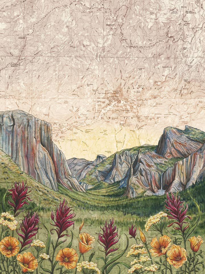 Yosemite Wildflowers Fine Art Print for wholesale by Final Switchback by Katie Jeanne Reim