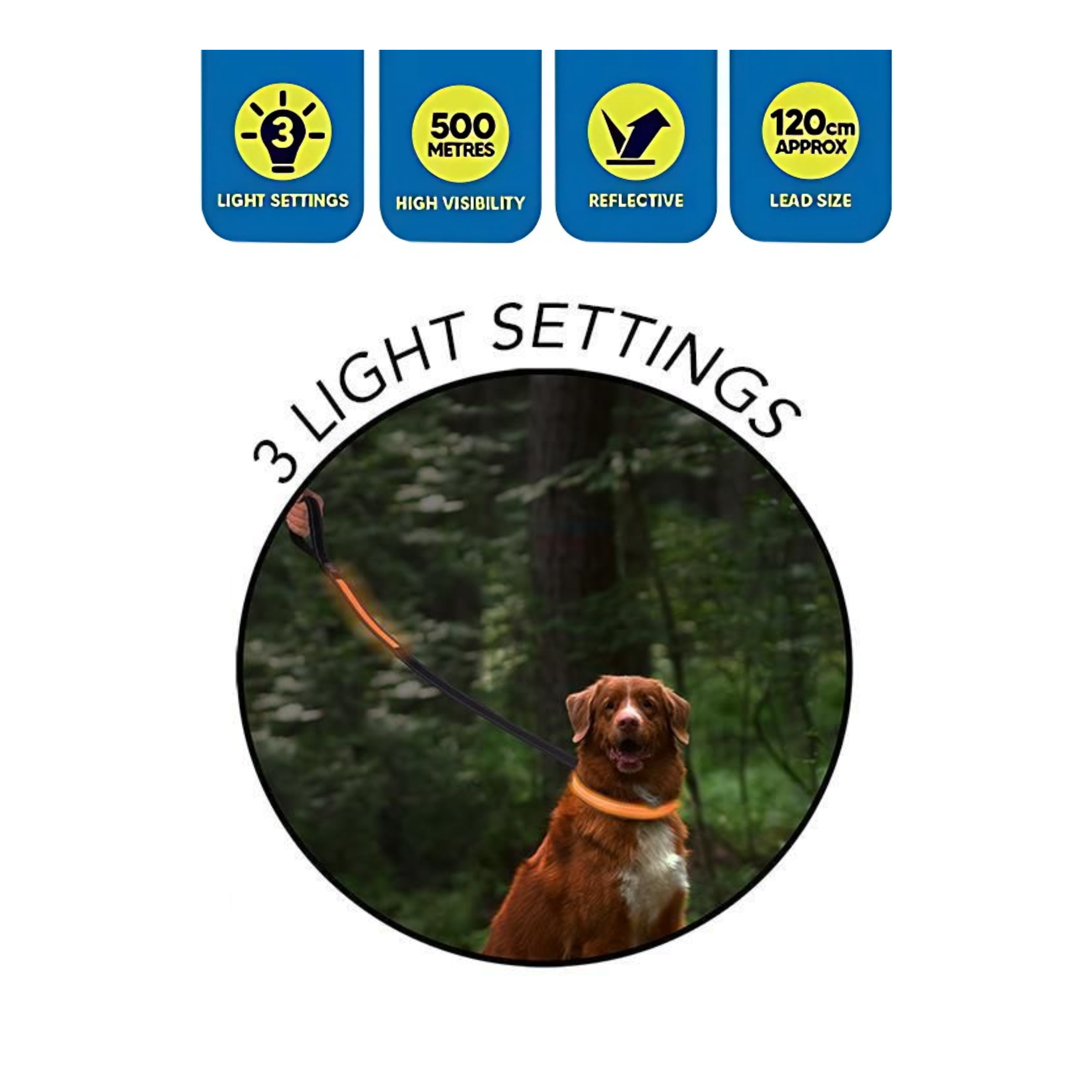 WufWuf - Wholesale Pet Leash - Dog - WufWuf Smart Choice LED Flashing Dog Lead 120cm4