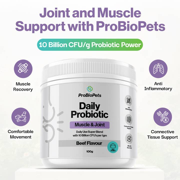 OurPetsLife - Wholesale Pet Supplement - Cat/Dog - Muscle & Joint Probiotic For Pets