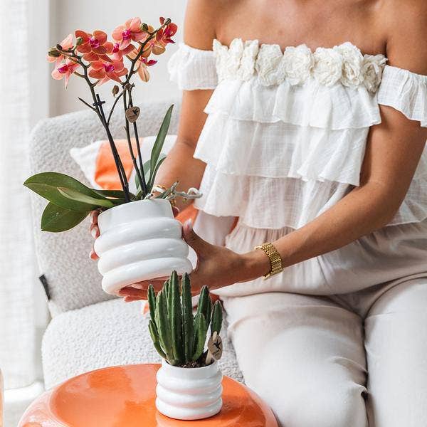 Oasis of Life - Wholesale Plant Pot - Blumentopf Bubble – White – Ø6cm – Modern Ceramic Decorative Pot with Textured Surface – Stylish Mini Planter for Succulents & Houseplants – Elegant Decor for Interiors4