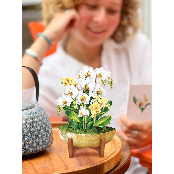 FreshCut Paper LLC - Wholesale Everyday greeting card - Mini Serenity Orchid (10 Pop-up Greeting Cards)1