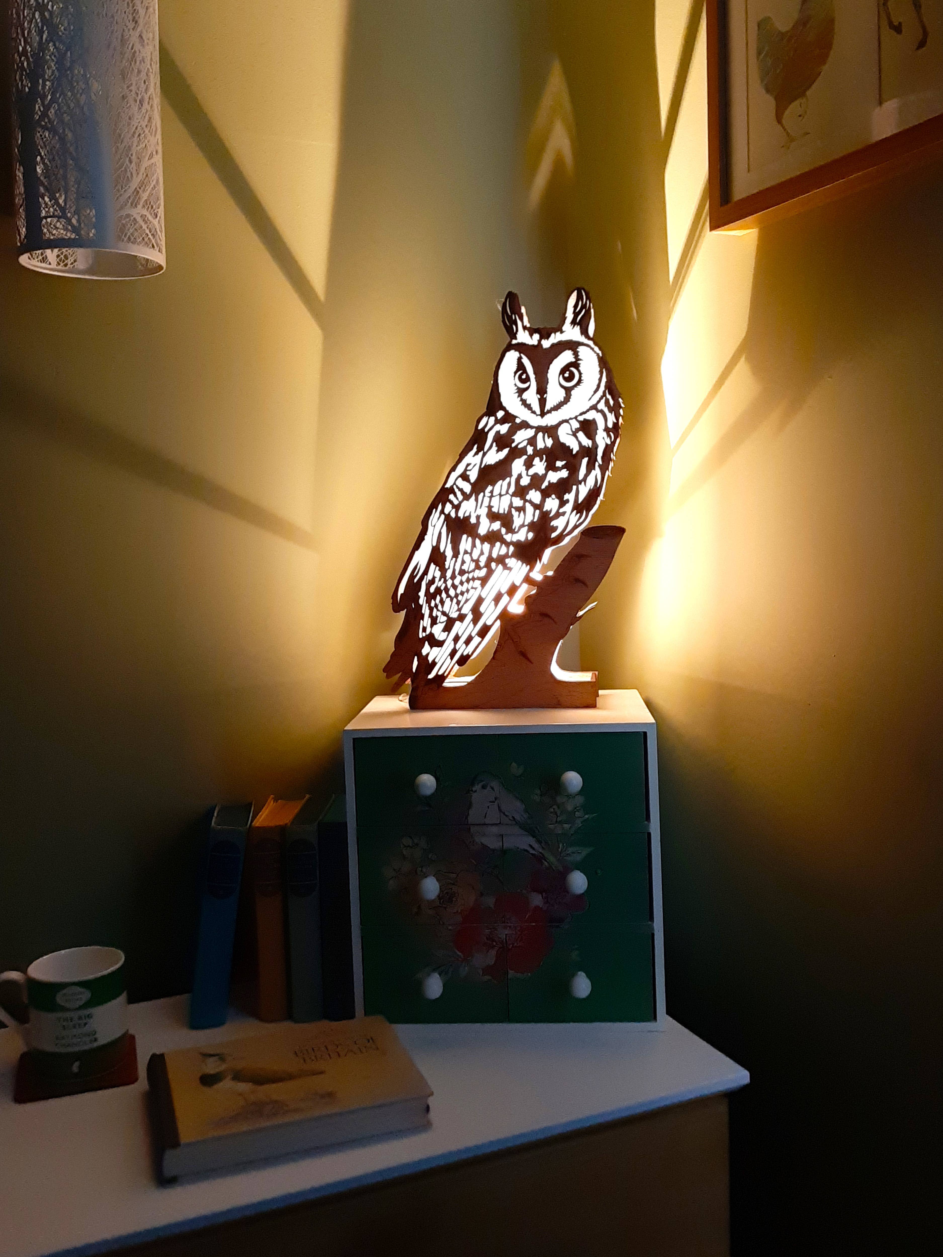 Bluebell Peak Design – Großhandel Akzent-/Schreibtischleuchte – Ambrosious Langohr-Eule, Lampe3