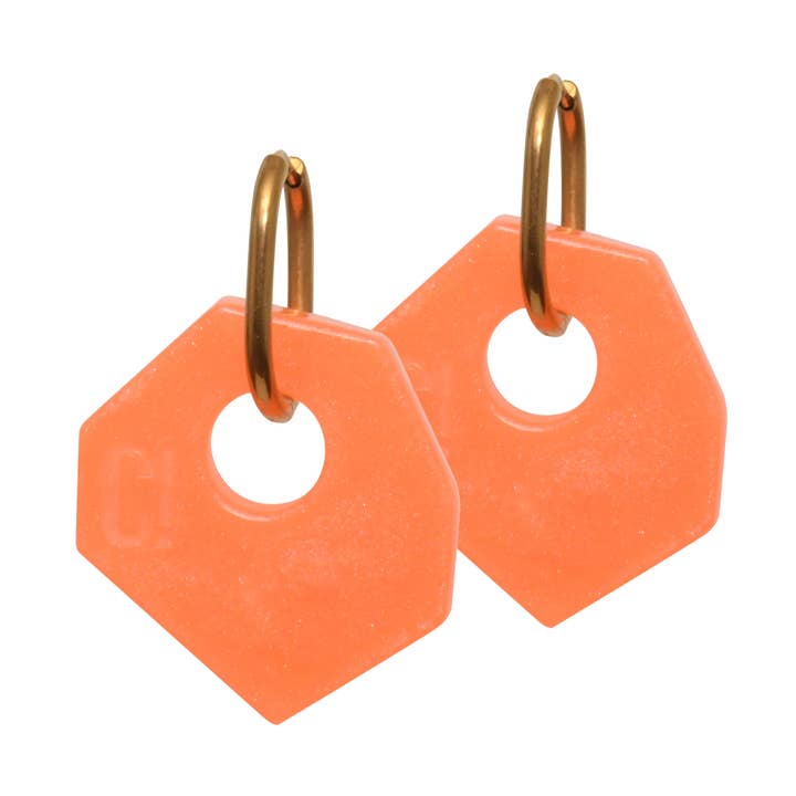 Brincos de Argola Epoxy Artesanal Laranja por atacado de Color Manifesto