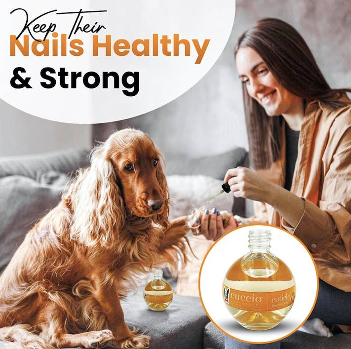 Warren London Dog Products – Produtos de higiene - Cão por atacado – Óleo Revitalizante para Cutículas e Unhas para Cães3