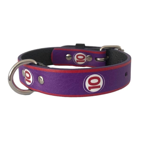 FANTASY FOTBALL FANS COLLAR for wholesale by My queen