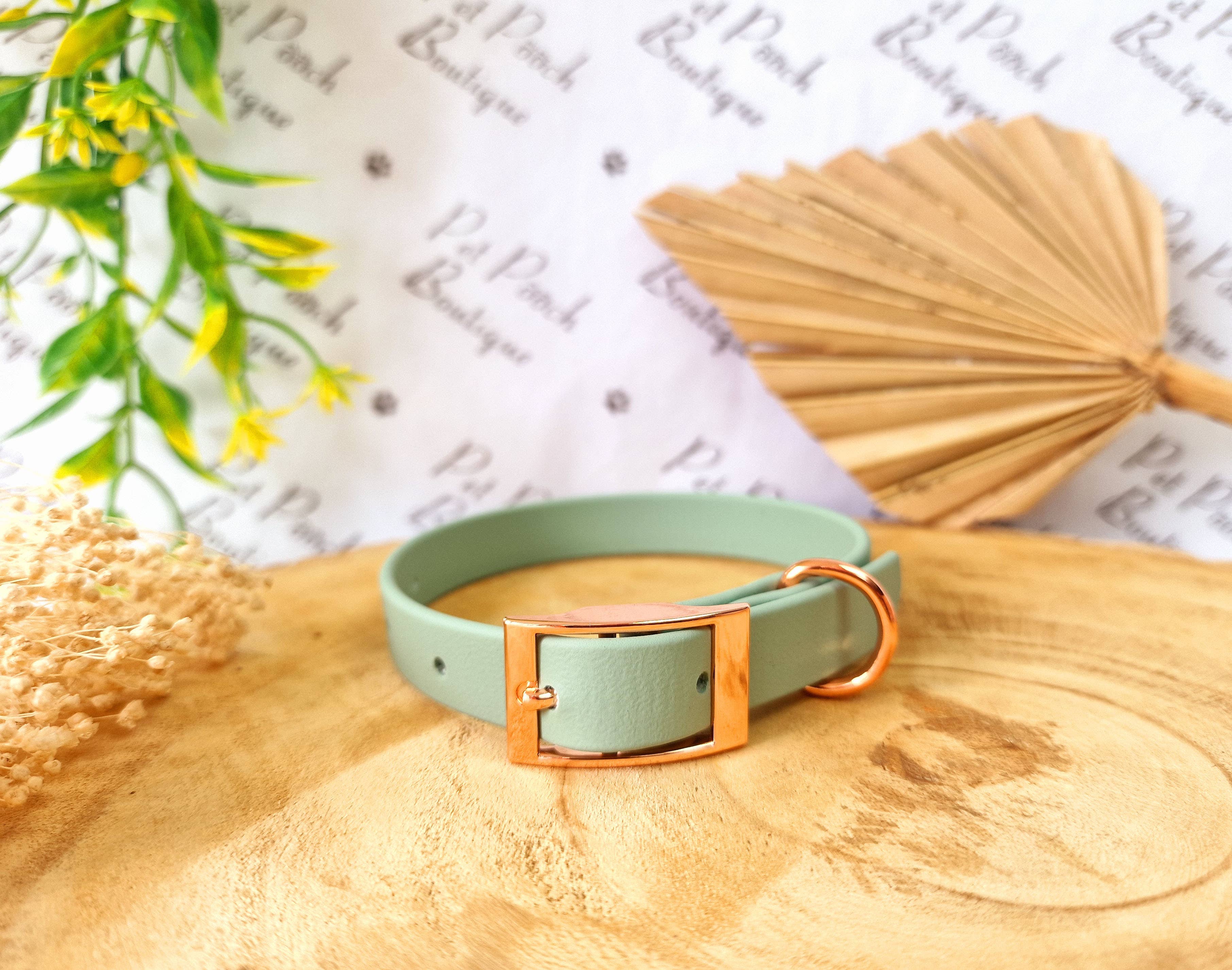 Pet Pooch Boutique - Vente Collier – chien - Collier pour chien en Biothane vert sauge - Accessoires en métal - Fait main