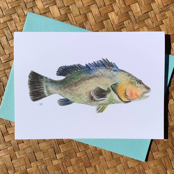 JAKE & META – wholesale Stationery/notecard set – Coastal Beach Notecards: Grouper Fish