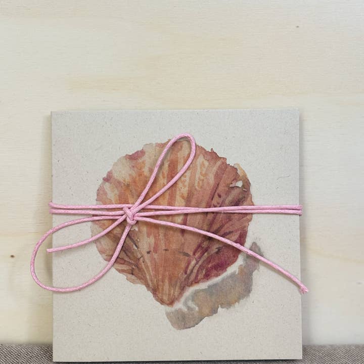 Harmonica photo booklet watercolor | shell sand and other Purchase Wholesale enveloppen. Free Returns & Net 60 Terms on Faire trending on Faire.