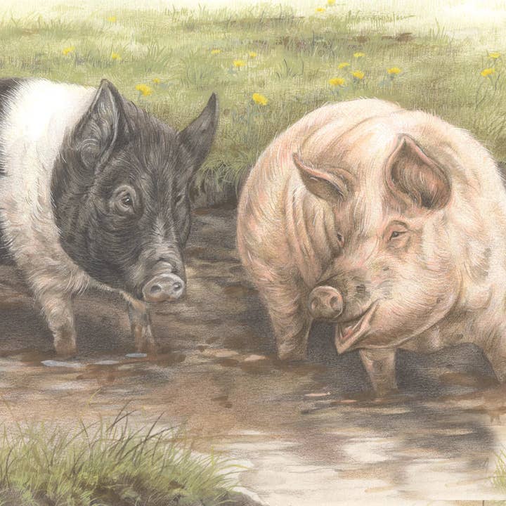 Square card - We'll make it a boar stable.. for wholesale by Animal Prints