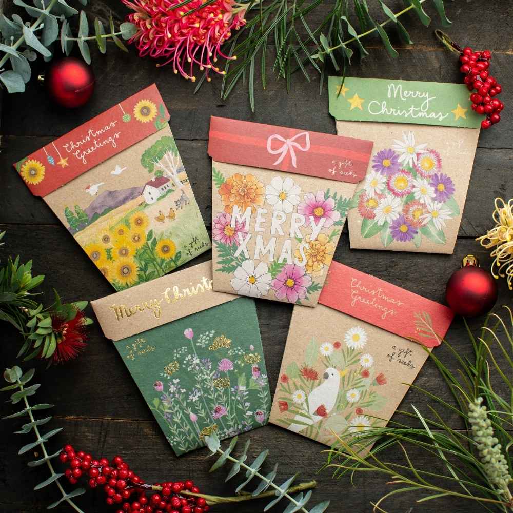 Sow 'n Sow - Venta al por mayor Semillas de plantas - Paquete de reabastecimiento de semillas y etiquetas navideñas (solo en Australia)0