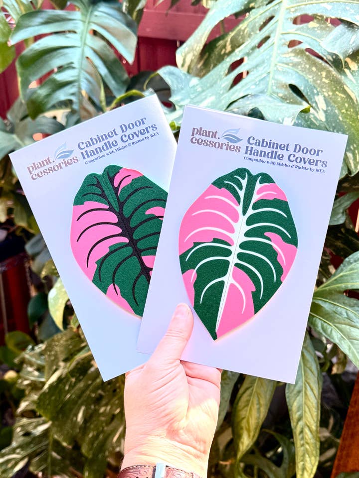 Alocasia Cuprea Variegated Cabinet Handle Cover for wholesale by plant.cessories