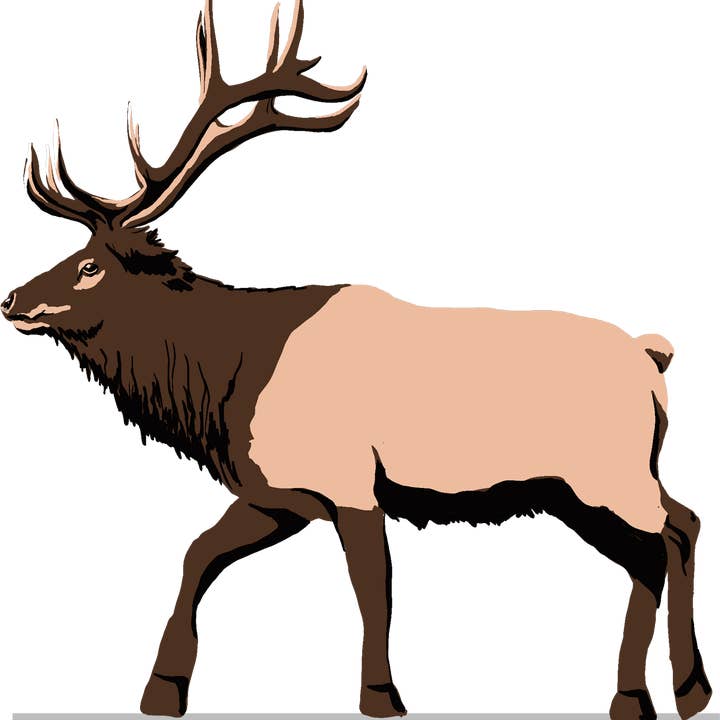 Alce por atacado de Boat N Co