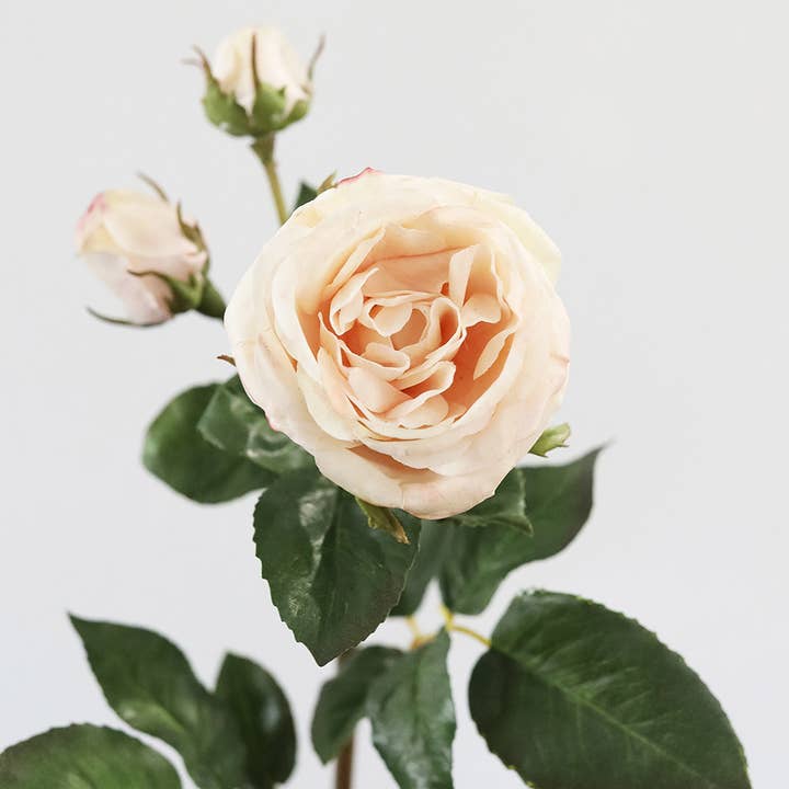 Prestige Botanicals - Wholesale Artificial Flowers - Real Touch Pink Rose 21.5"