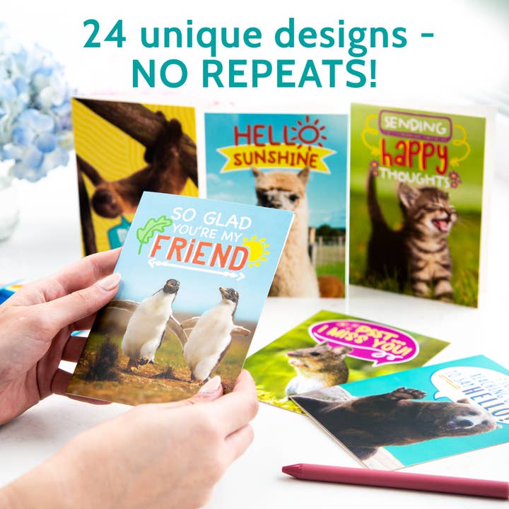 T Marie - Wholesale Everyday Greeting Card - 24 Funny Greeting Cards Set with Envelopes - 24 Designs