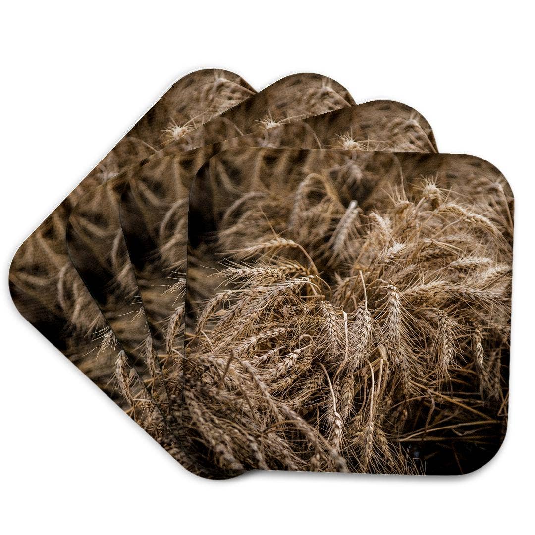 3dRose - Wholesale Onderzetters - 3dRose, Mooie aren van tarwe. Vruchten van de herfstoogst. Thanksgiving-thema, Onderzetter7