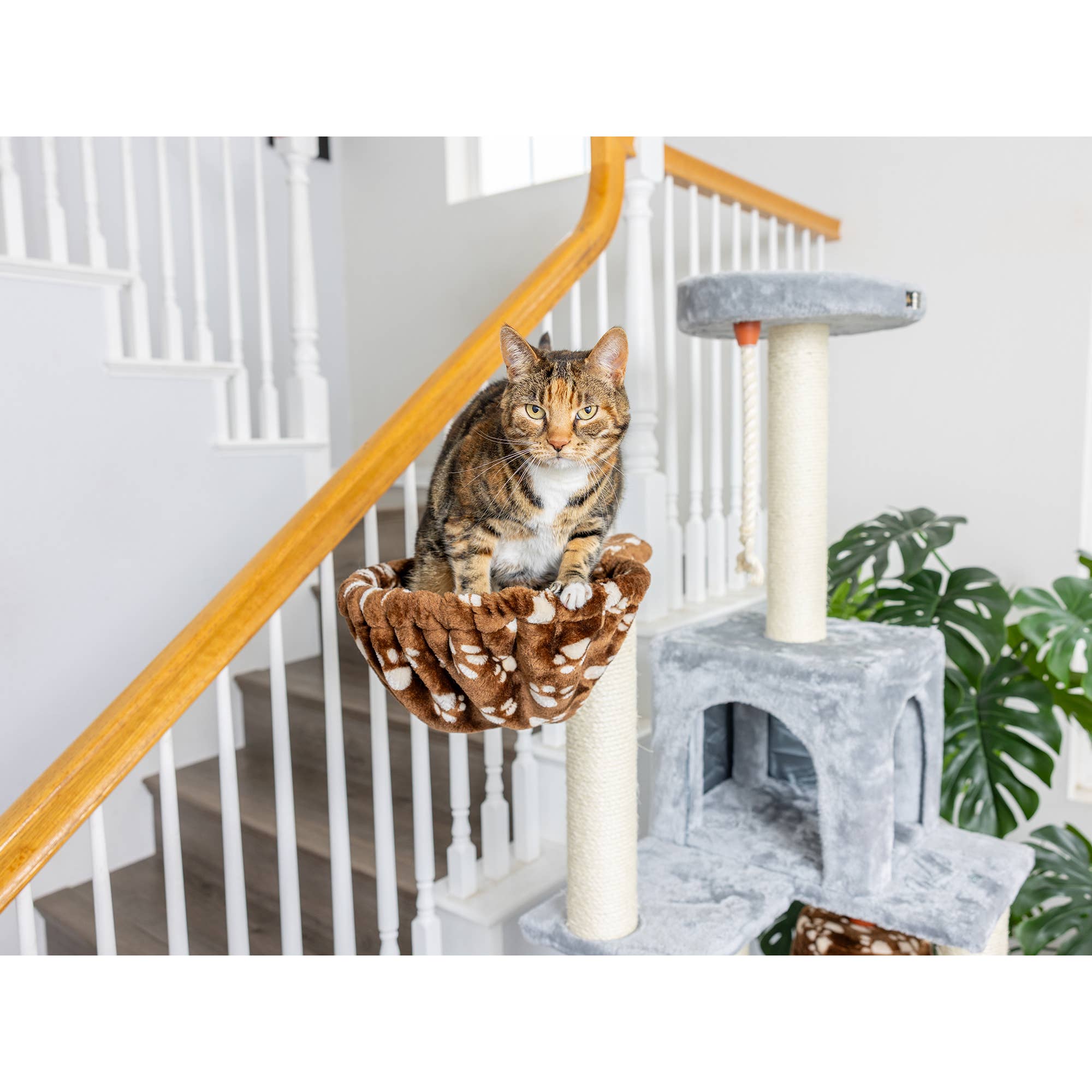 Armarkat - Wholesale Pet Scratcher - Cat - Real Wood Cat Climber Play House With Playhouse, Basket11