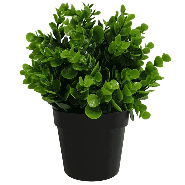 Designer Plants AU - Wholesale Artificial plant - Small Potted Artificial Peperomia Plant UV Resistant 20cm