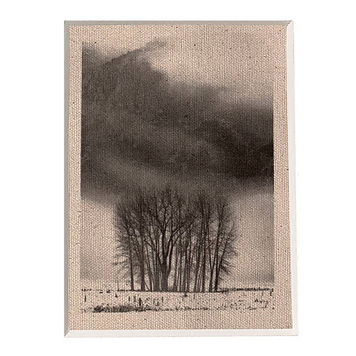 Yosemite #1 for wholesale by Stewart Vision