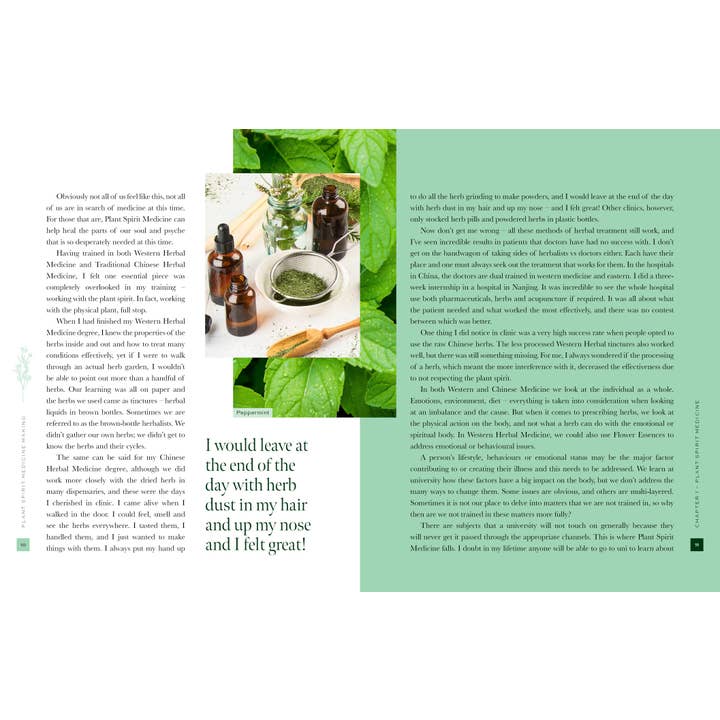 ROCKPOOL PUBLISHING - Wholesale Book - Adult - Plant Spirit Medicine (Hardcover)