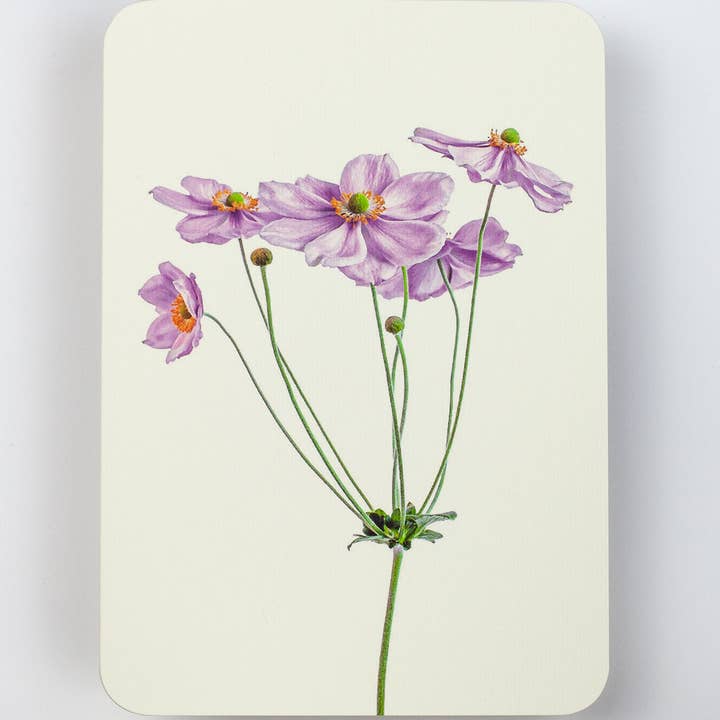 Anemone Greeting Card | Birthday Card | Luxury Cards and other Purchase Wholesale anemone. Free Returns & Net 60 Terms on Faire trending on Faire.