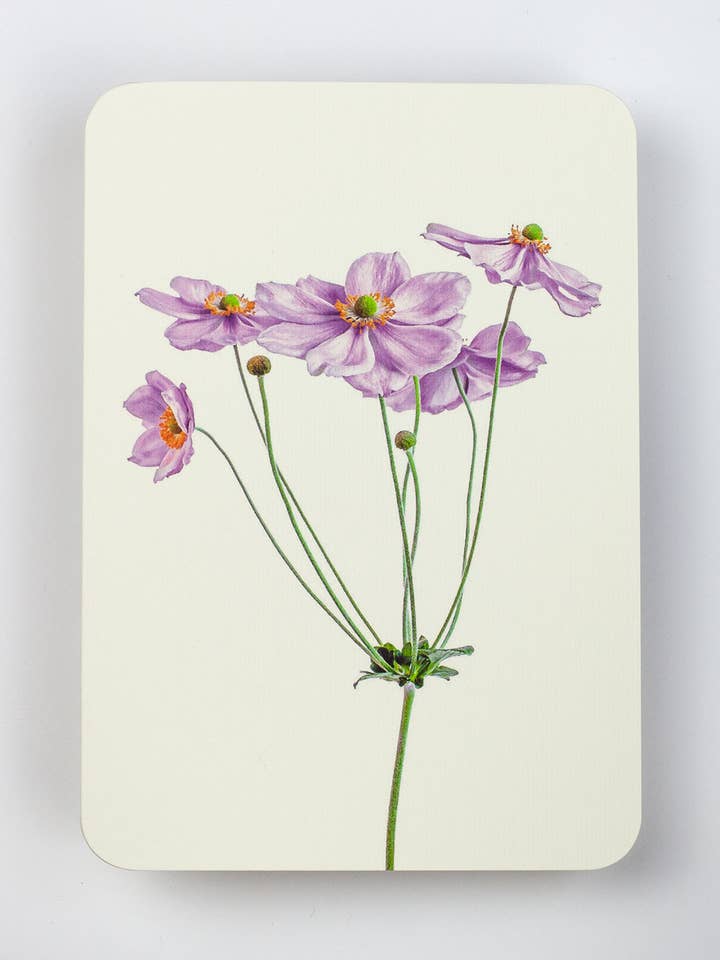 Anemone Greeting Card | Birthday Card | Luxury Cards for wholesale by Canonbury Press