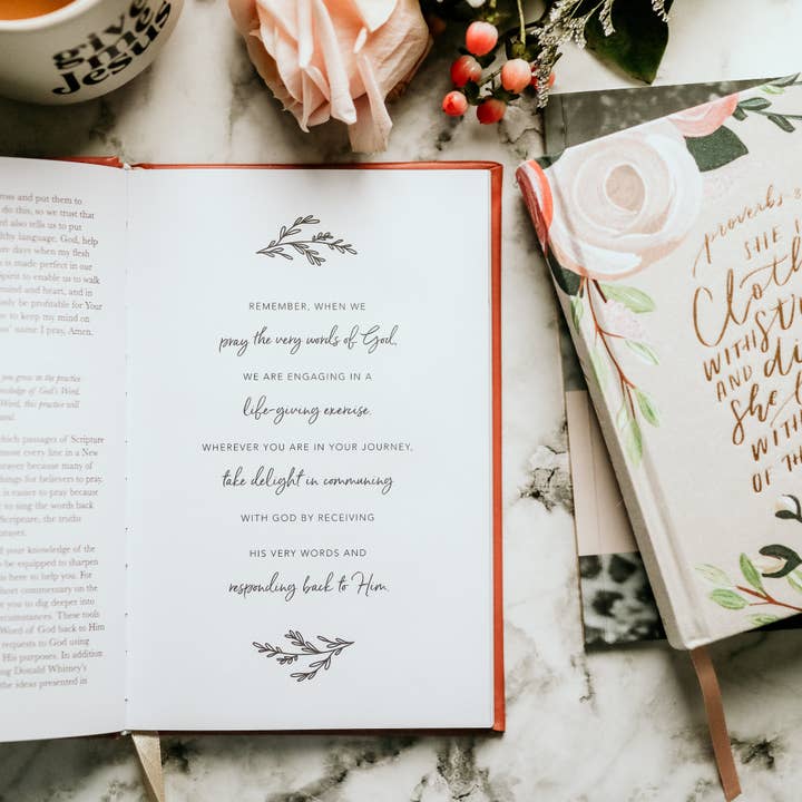 The Daily Grace Co - Wholesale Journal/Diary - Praying Scripture for Motherhood Journal