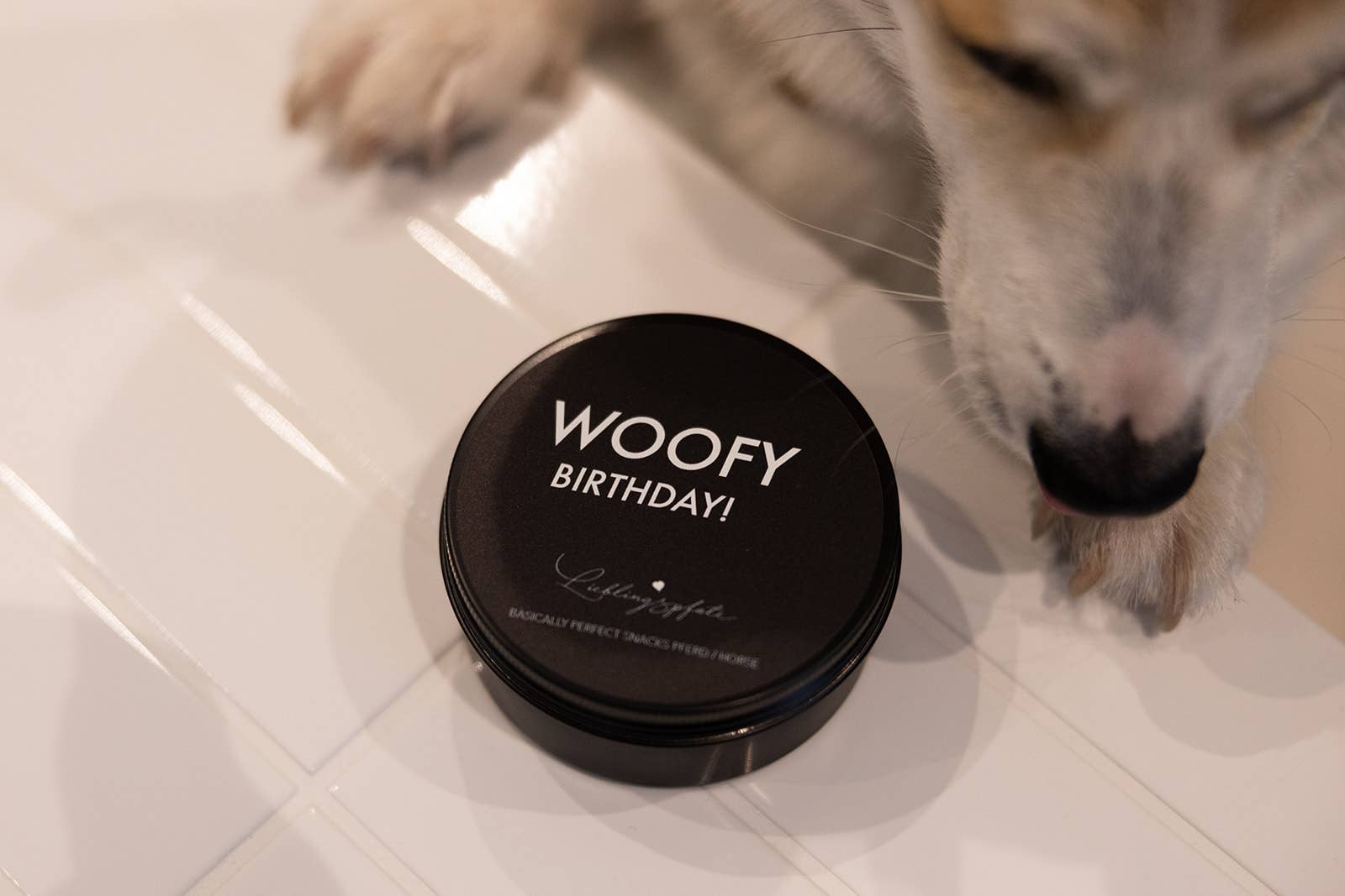 Lieblingspfote - Wholesale Pet Treats - Dog - Party Snacks - WOOFY BIRTHDAY - Horse 60g1