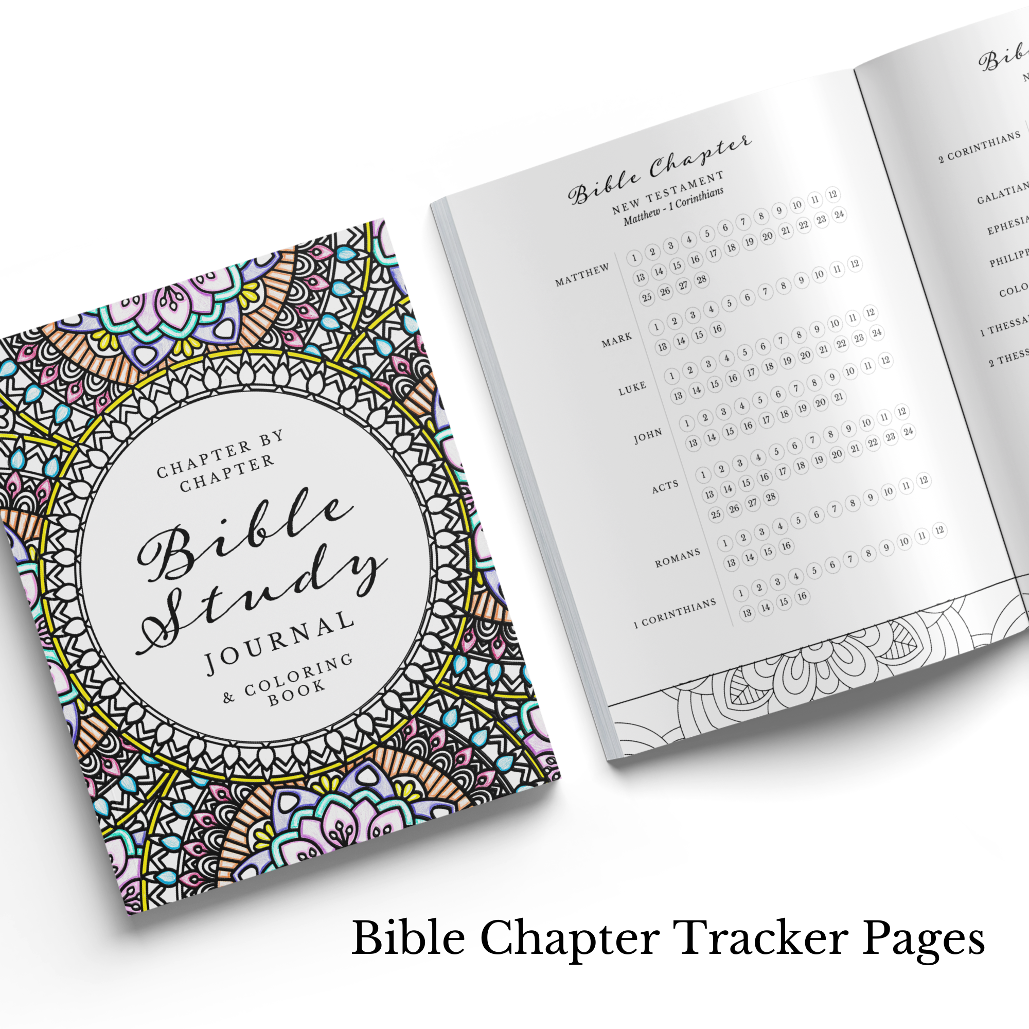 Scripture and Grace - Wholesale Journal/Diary - Chapter by Chapter Bible Study Journal and Coloring Book1
